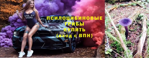 твердый Верхний Тагил
